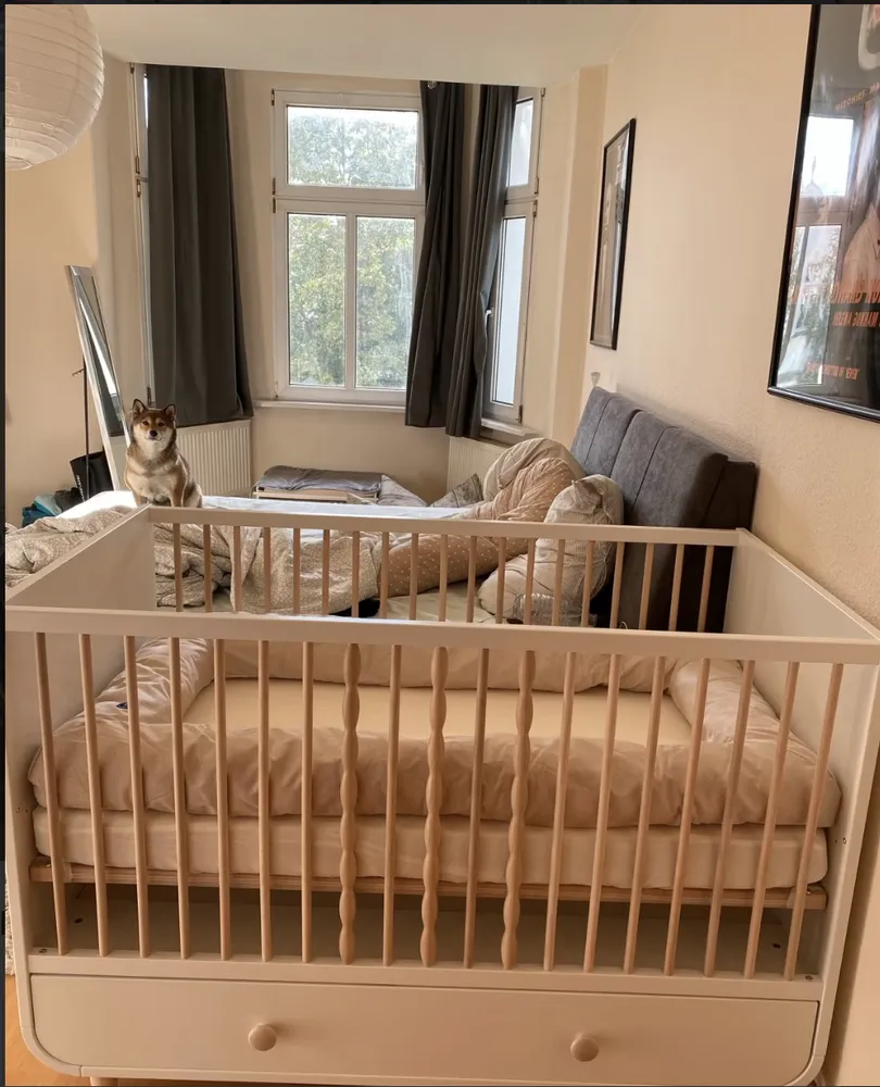 3 Zimmer Wohnung mit 80 m² in Magdeburg – Bild 3