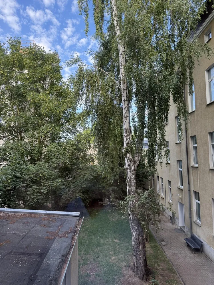 4 room apartment with 85 m² in Magdeburg – Photo 6