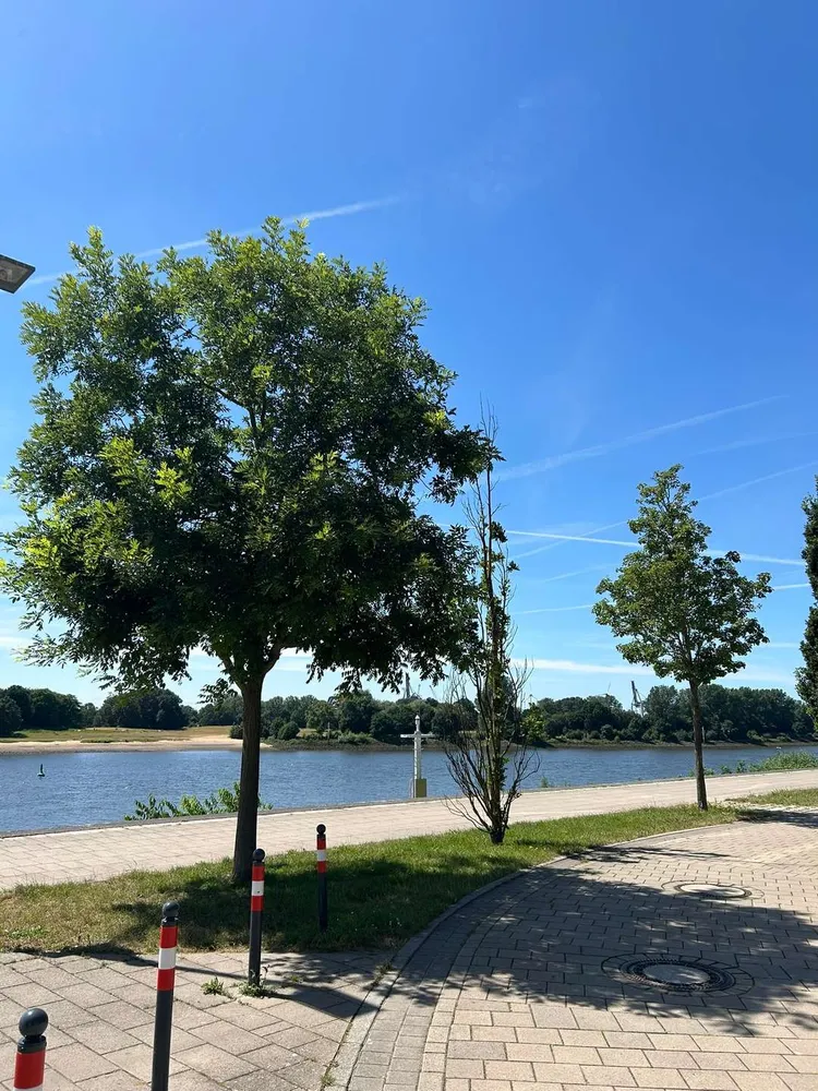 3 Zimmer Wohnung mit 108 m² in Bremen – Bild 3