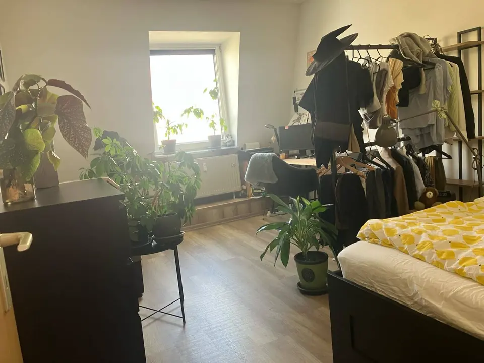 3 Zimmer Wohnung mit 77 m² in Halle (Saale) – Bild 3