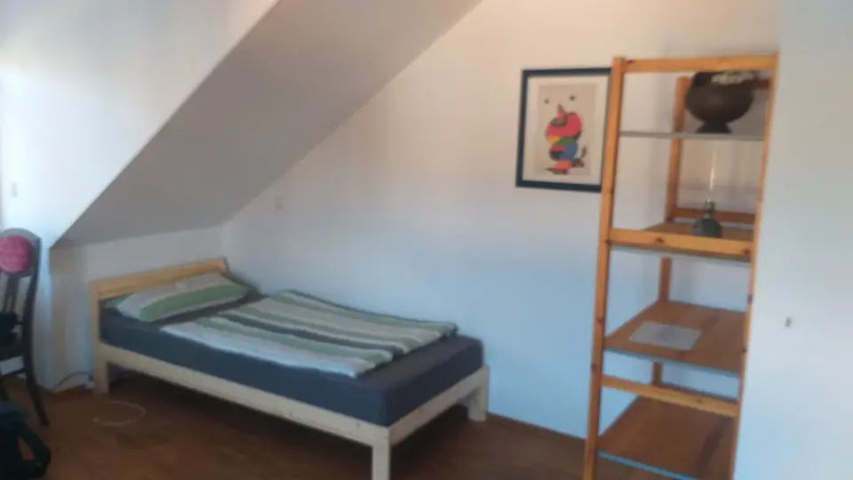WG-Zimmer mit 84 m² in Heidelberg – Bild 3
