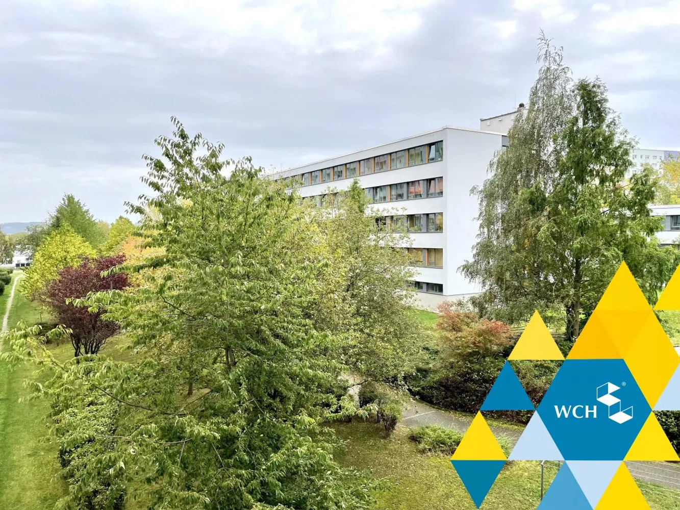 1 room apartment with 36 m² in Chemnitz – Photo 1