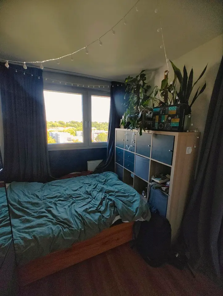 2 Zimmer Wohnung mit 29 m² in Mainz – Bild 4