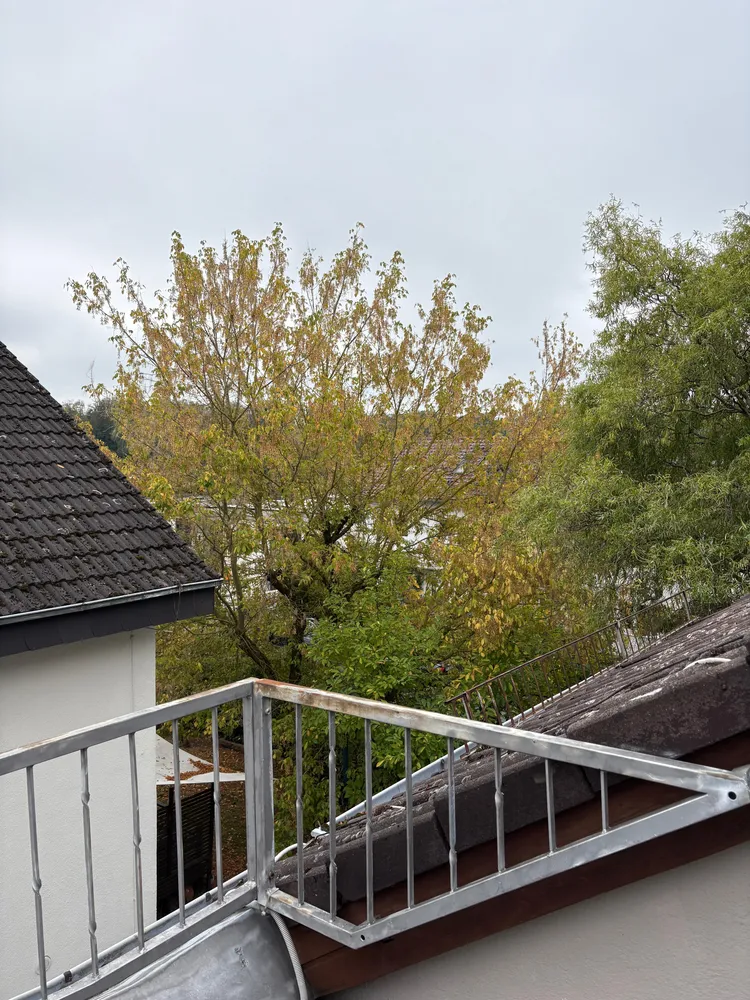 1 room apartment with 48 m² in Dreieich – Photo 3