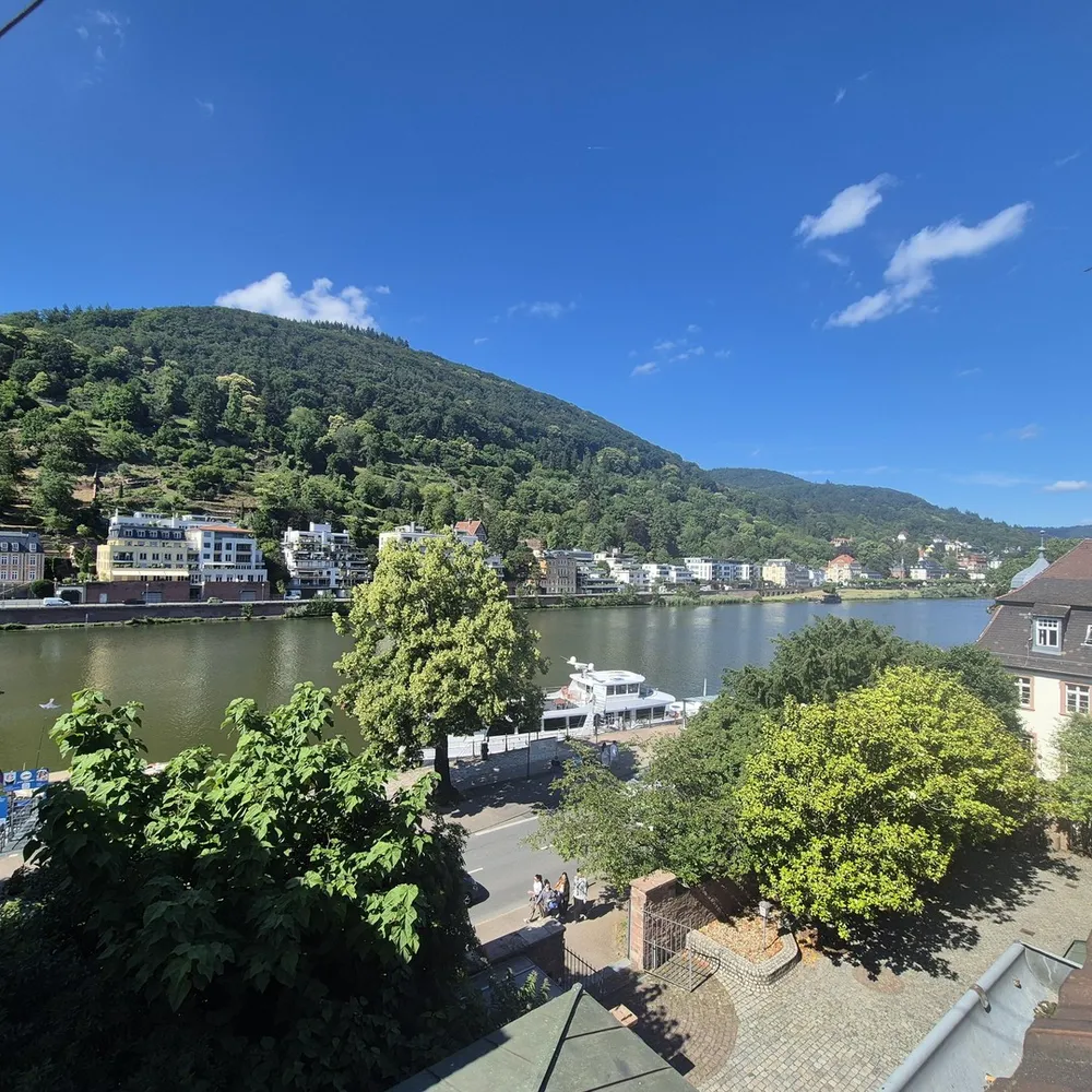 5 Zimmer Wohnung mit 15 m² in Heidelberg – Bild 7
