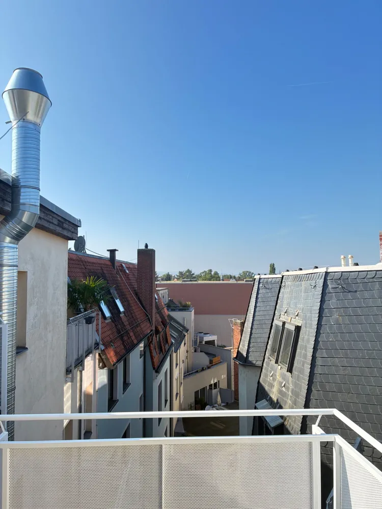 2 Zimmer Wohnung mit 88 m² in Dresden – Bild 3