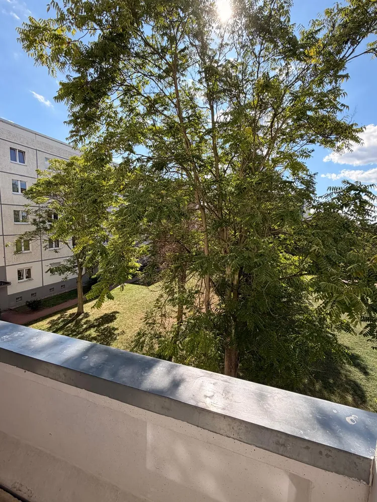 3 Zimmer Wohnung mit 54 m² in Magdeburg – Bild 3