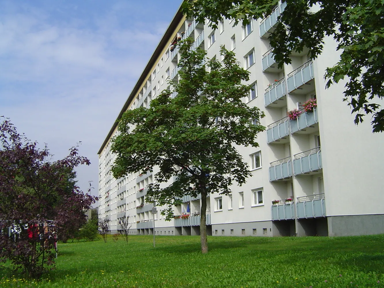 2 room apartment with 44 m² in Chemnitz – Photo 1