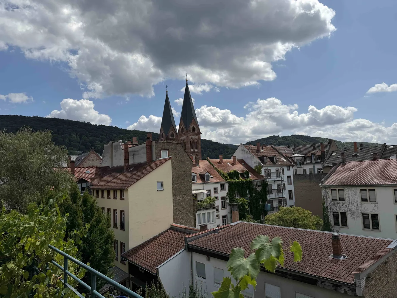 5 Zimmer Wohnung mit 230 m² in Heidelberg – Bild 1
