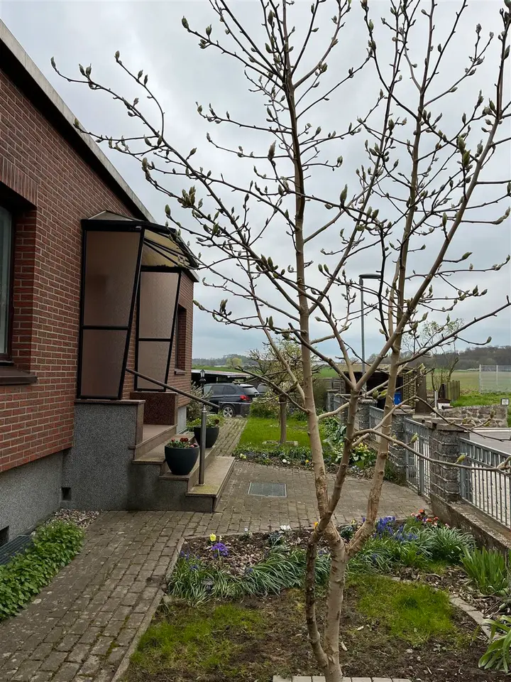 2 Zimmer Wohnung mit 70 m² in Wismar – Bild 3