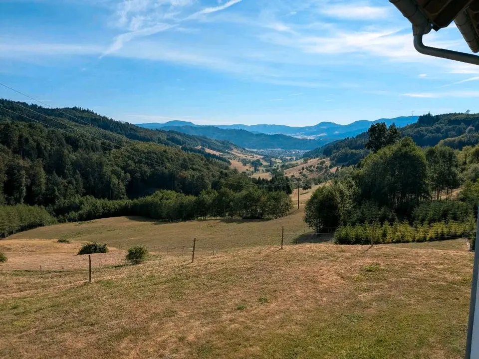 WG-Zimmer mit 50 m² in Lahr/Schwarzwald – Bild 4