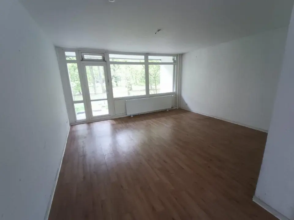 2 Zimmer Wohnung mit 32 m² in Dresden – Bild 3