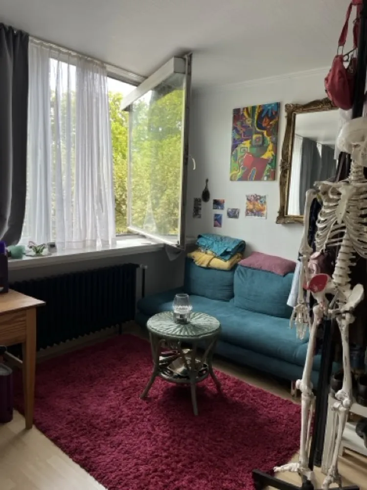 1 Zimmer Wohnung mit 31 m² in Mainz – Bild 2