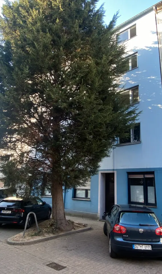 3 Zimmer Wohnung mit 70 m² in Oberhausen – Bild 8