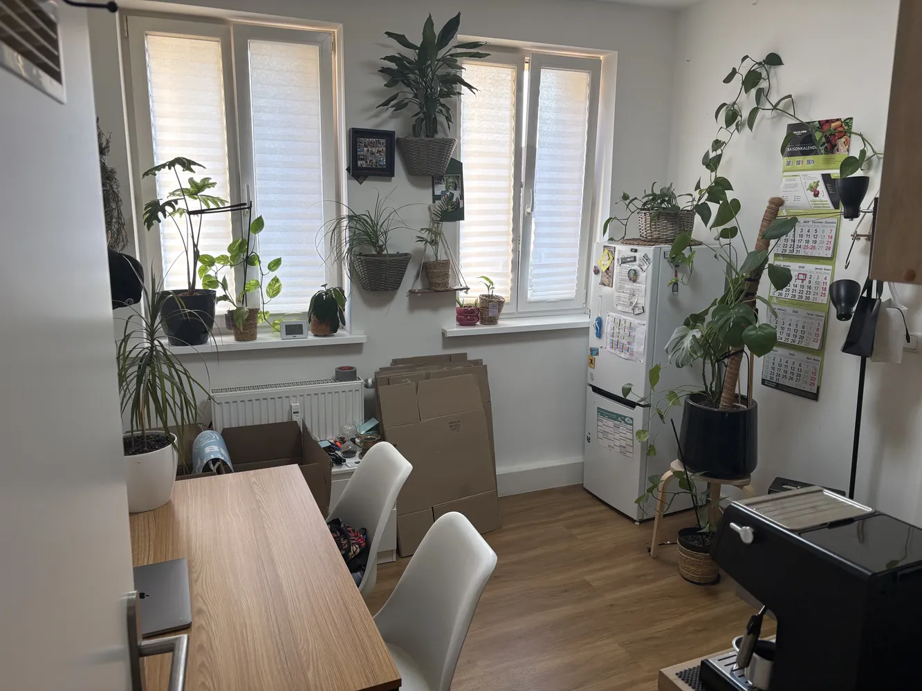 1 Zimmer Wohnung mit 33 m² in Nürnberg – Bild 1