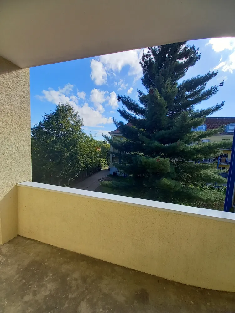 2 room apartment with 57 m² in Dresden – Photo 7
