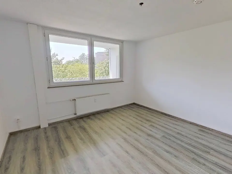 2 Zimmer Wohnung mit 24 m² in Greven – Bild 1