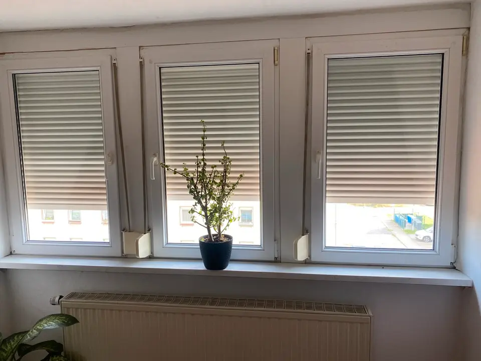 3 Zimmer Wohnung mit 65 m² in Delitzsch – Bild 10
