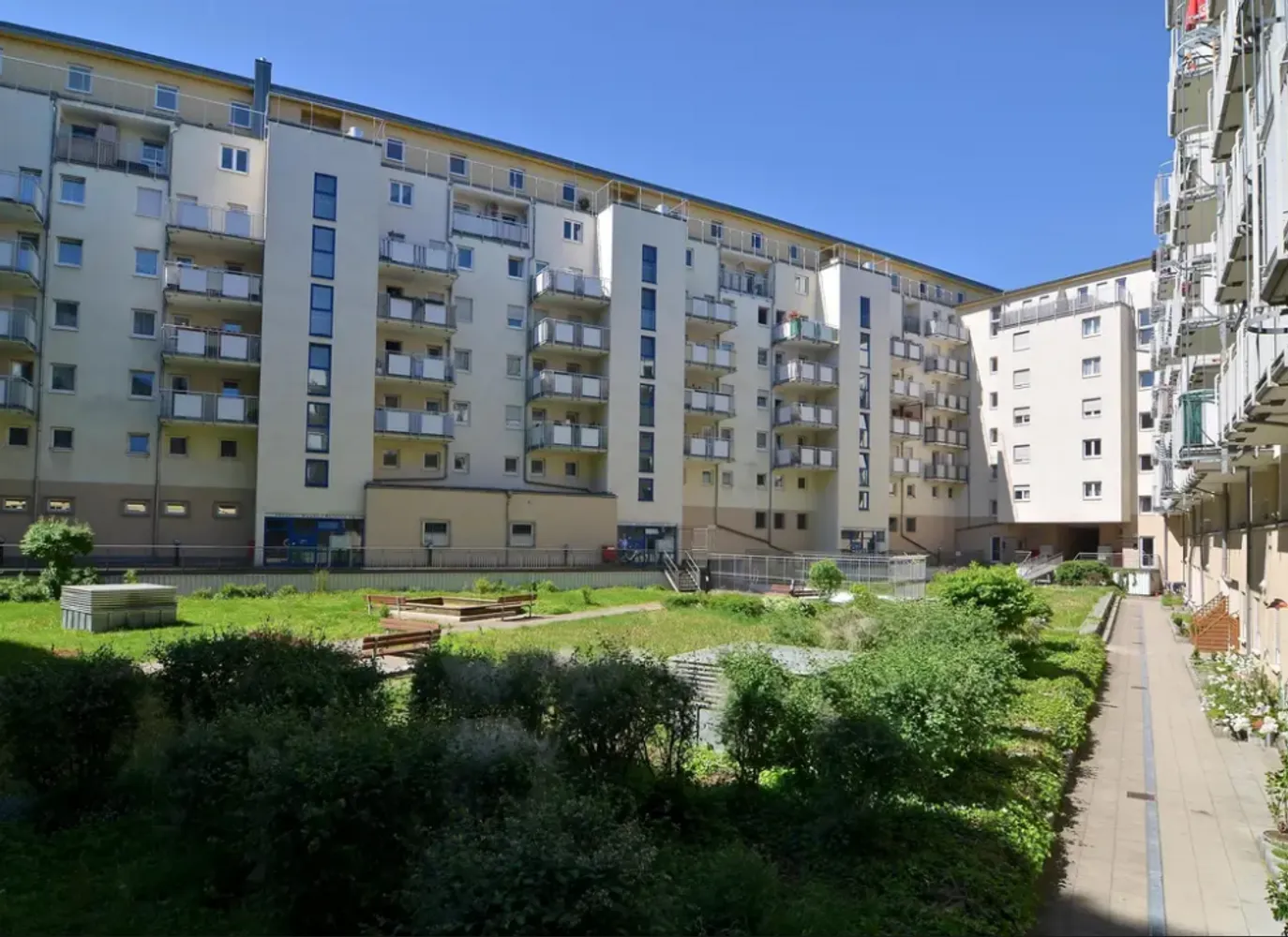 1 room apartment with 31 m² in Dresden – Photo 7