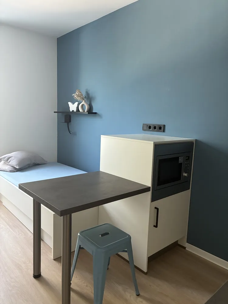 1 Zimmer Wohnung mit 20 m² in Wiesbaden – Bild 1