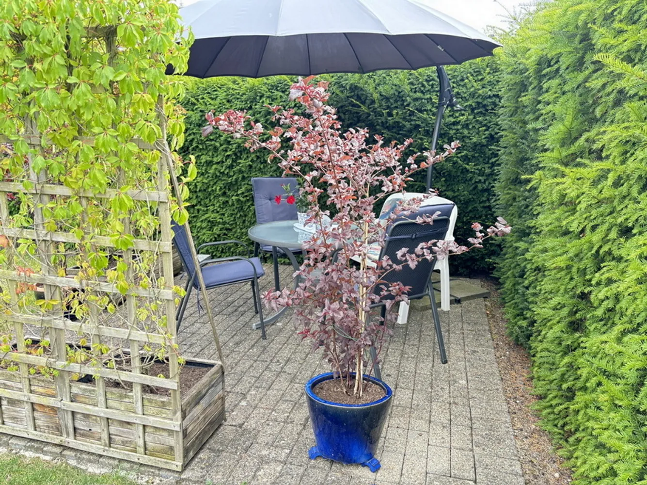 3 Zimmer Wohnung mit 74 m² in Bocholt – Bild 5