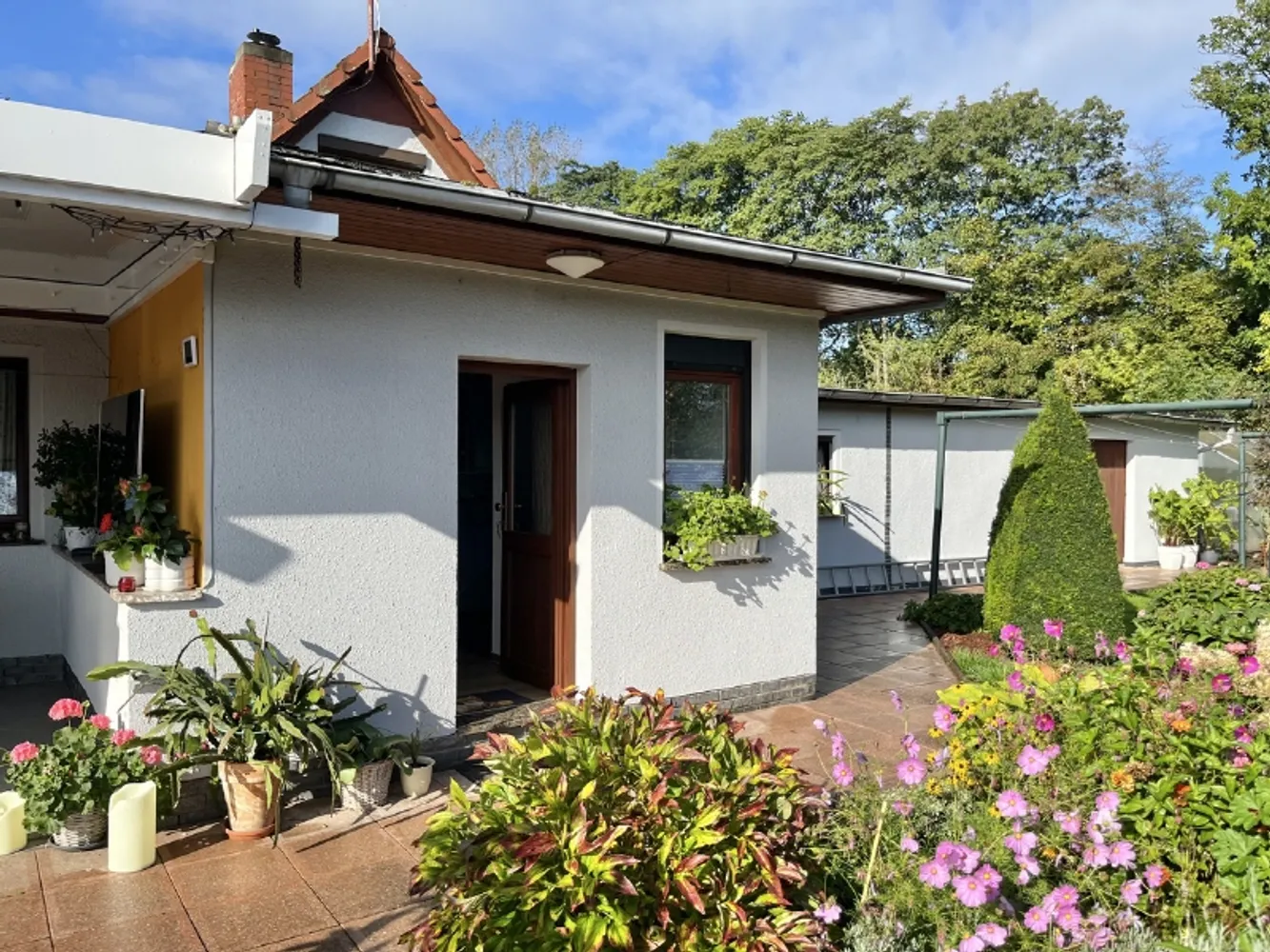 2 Zimmer Wohnung mit 40 m² in Dresden – Bild 1