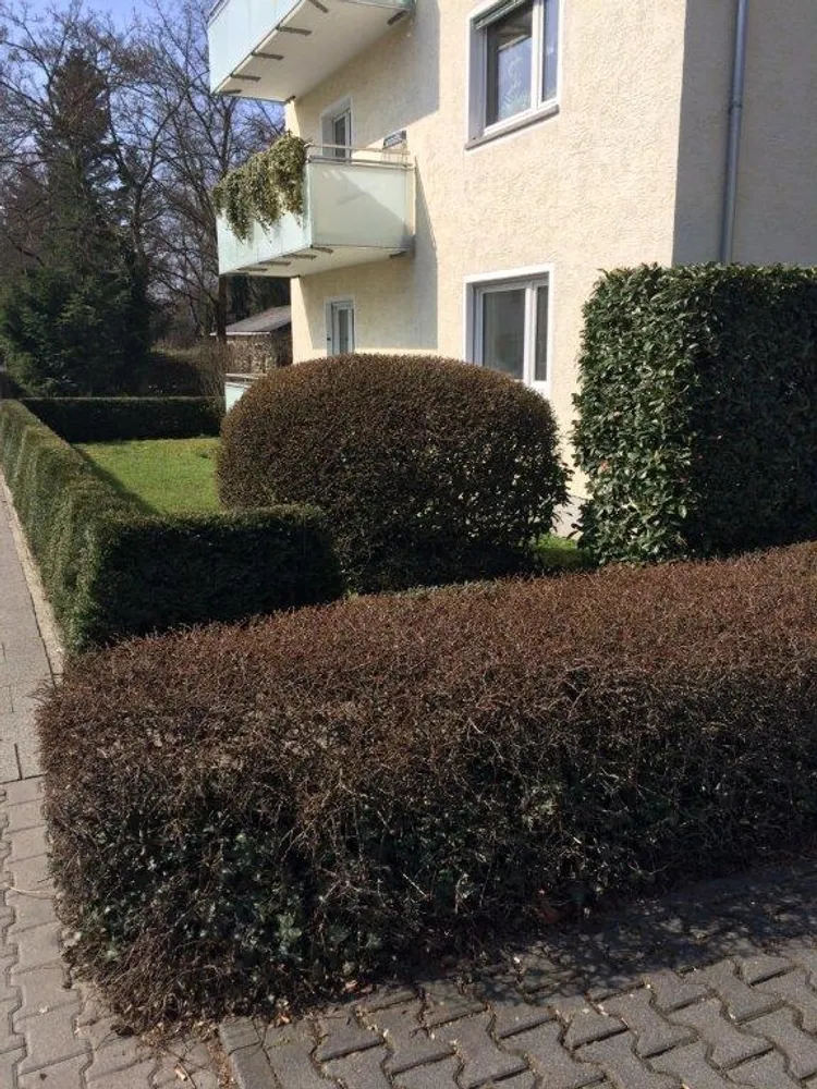 3 Zimmer Wohnung mit 70 m² in Wiesbaden – Bild 5