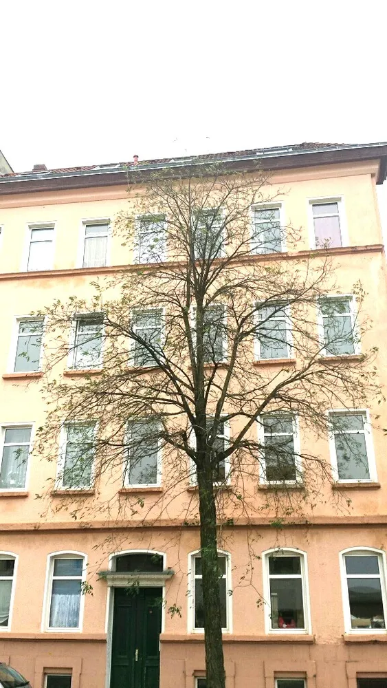 2 Zimmer Wohnung mit 51 m² in Leipzig – Bild 7