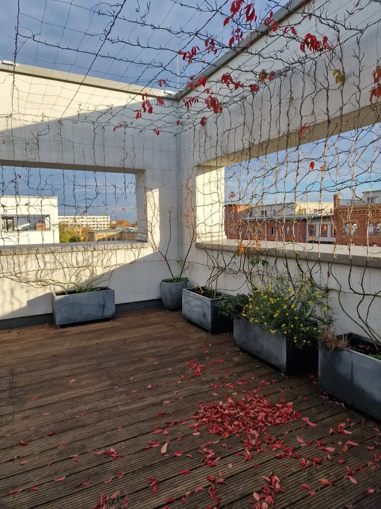 4 Zimmer Wohnung mit 152 m² in Leipzig – Bild 5