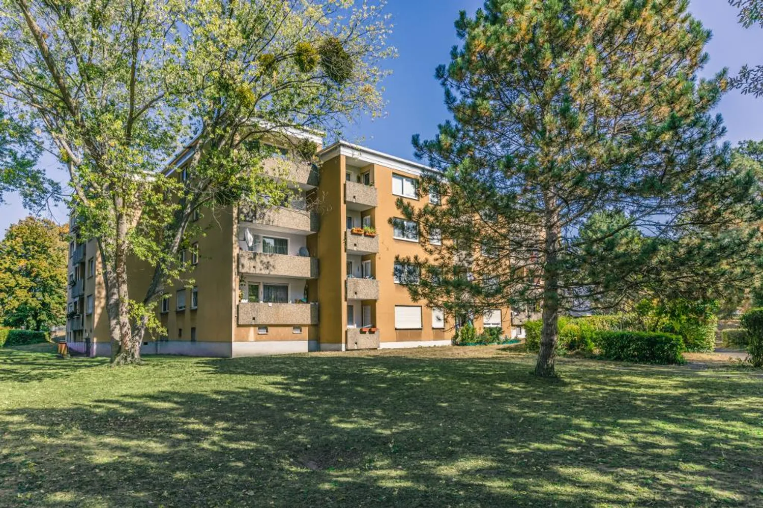 2 room apartment with 54 m² in Bensheim – Photo 5