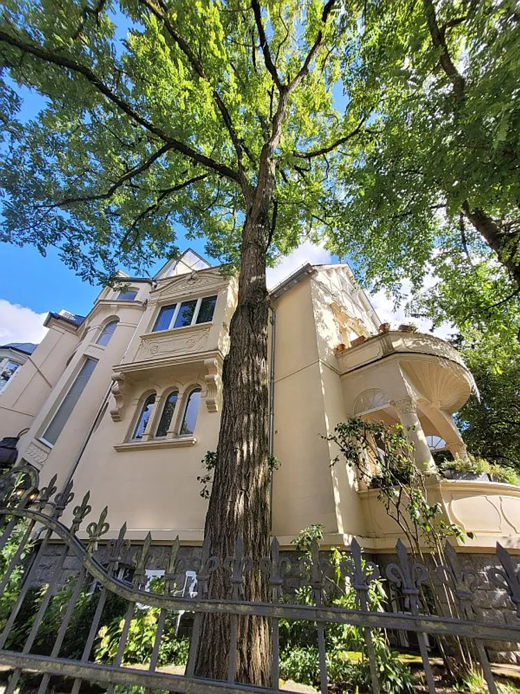 3 Zimmer Wohnung mit 140 m² in Wiesbaden – Bild 1