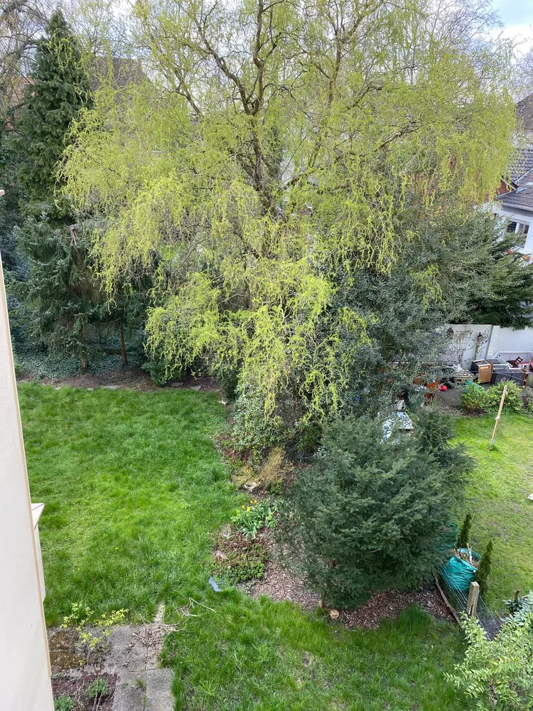 3 Zimmer Wohnung mit 54 m² in Dortmund – Bild 2