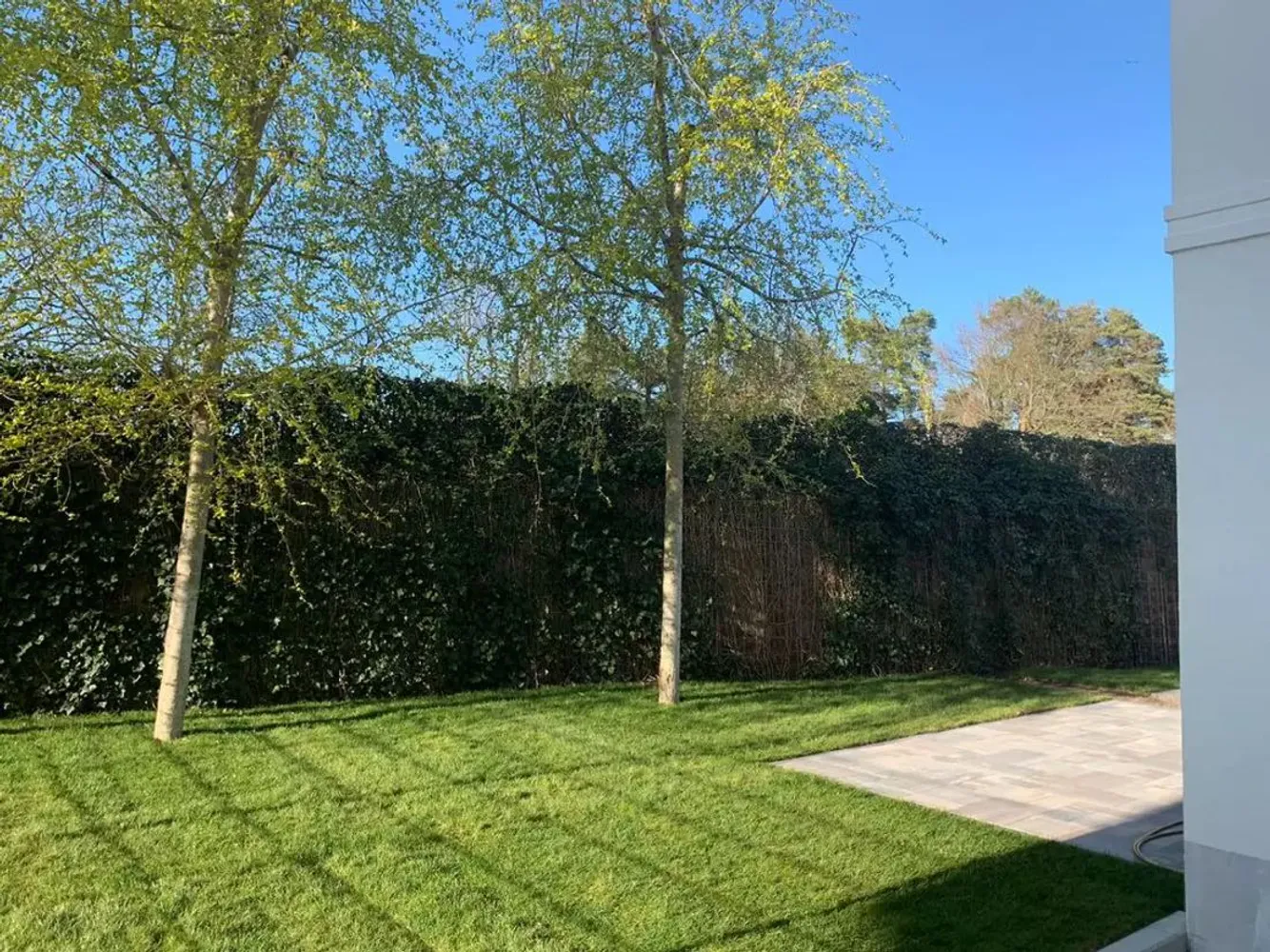 5 Zimmer Haus mit 168 m² in Berlin – Bild 3