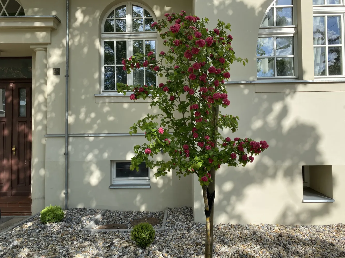 5 Zimmer Wohnung mit 160 m² in Magdeburg – Bild 1