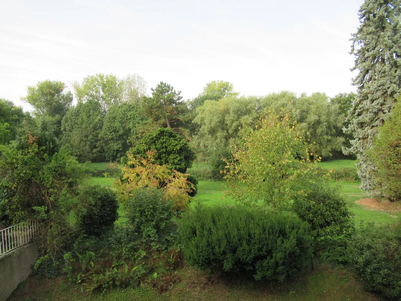 3 room apartment with 100 m² in Düsseldorf – Photo 2