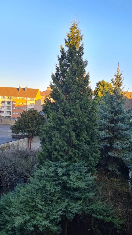 3 Zimmer Wohnung mit 77 m² in Krefeld – Bild 9