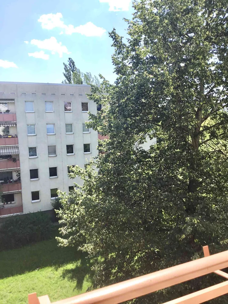 3 Zimmer Wohnung mit 78 m² in Dresden – Bild 11