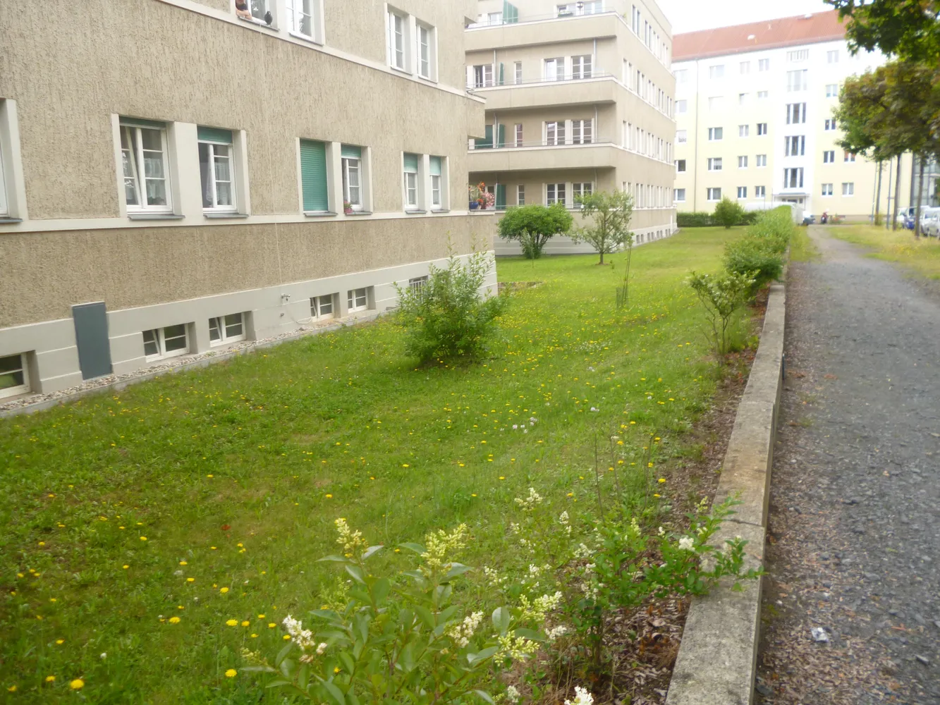 3 Zimmer Wohnung mit 84 m² in Dresden – Bild 1