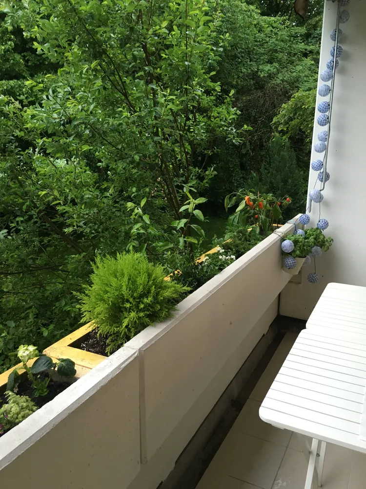 3 room apartment with 75 m² in Munich – Photo 2