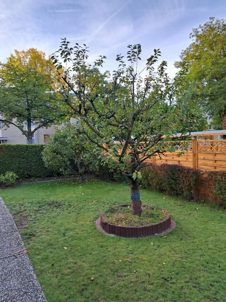 5 Zimmer Haus mit 120 m² in Berlin – Bild 5