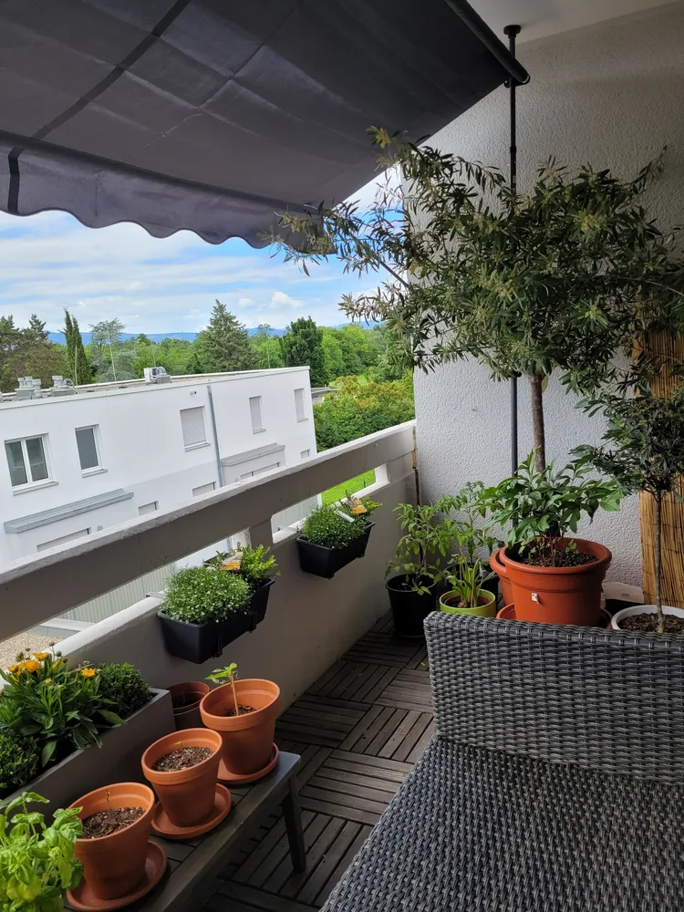 2 room apartment with 53 m² in Frankfurt am Main – Photo 3