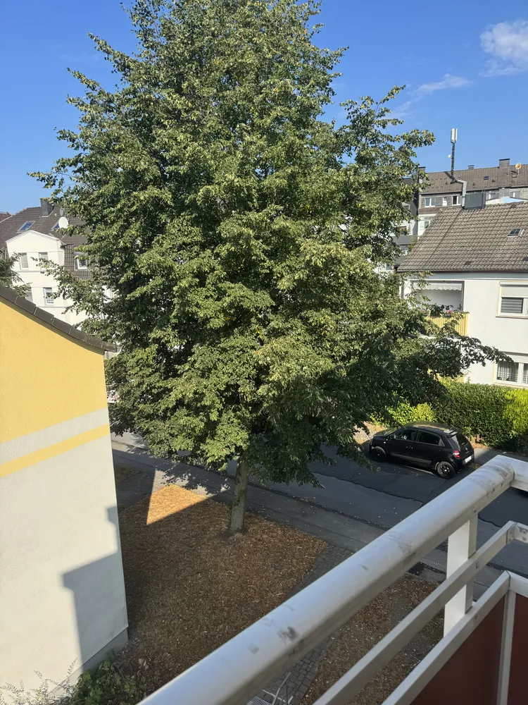 3 Zimmer Wohnung mit 76 m² in Hagen – Bild 4