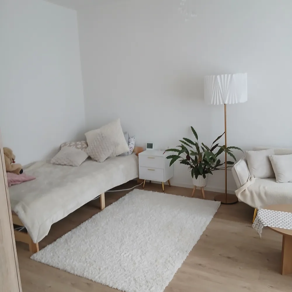 1 room apartment with 45 m² in Magdeburg – Photo 2