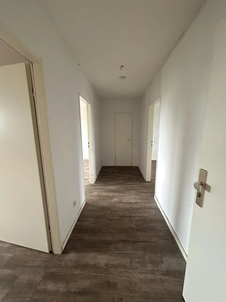 3 room apartment with 65 m² in Bergheim – Photo 2