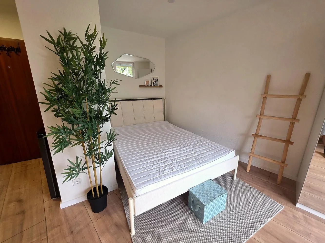 2 room apartment with 35 m² in Cologne – Photo 2