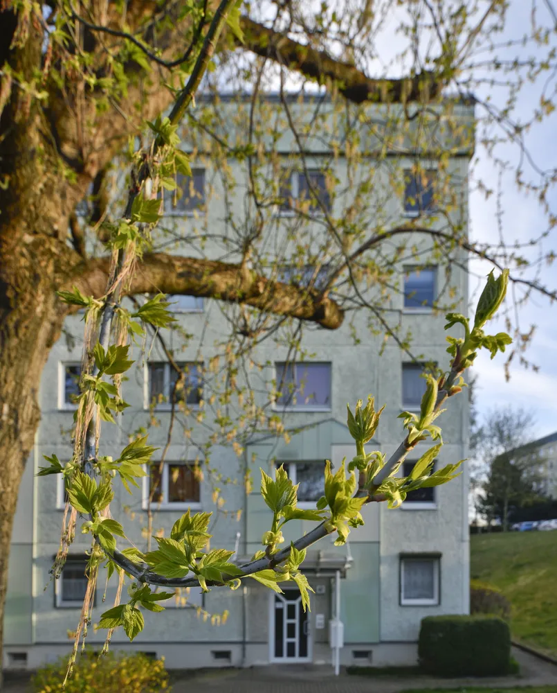 2 room apartment with 51 m² in Gotha – Photo 1