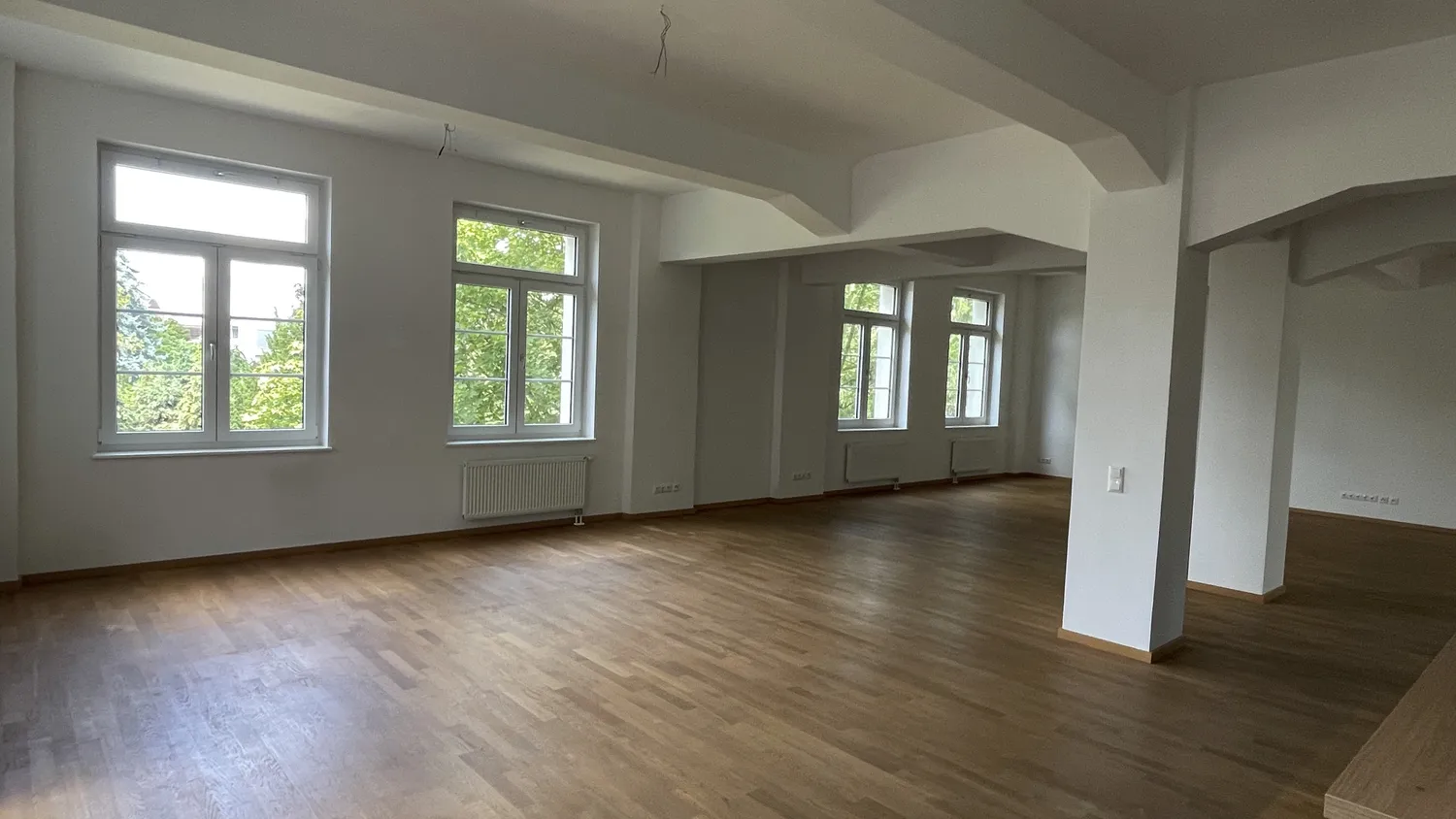 2 Zimmer Wohnung mit 168 m² in Dresden – Bild 3