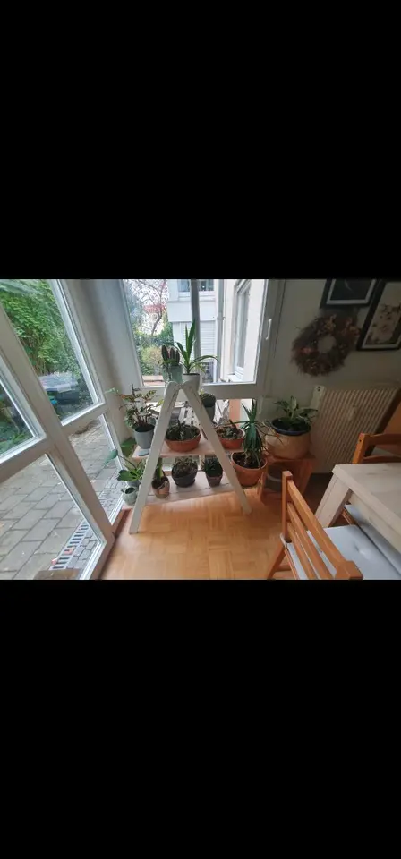 2 Zimmer Wohnung mit 55 m² in Dresden – Bild 4