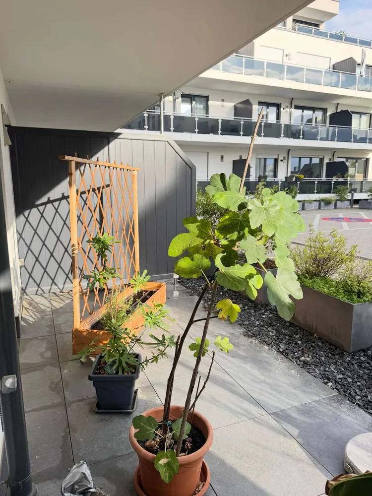 2 Zimmer Wohnung mit 60 m² in Passau – Bild 3