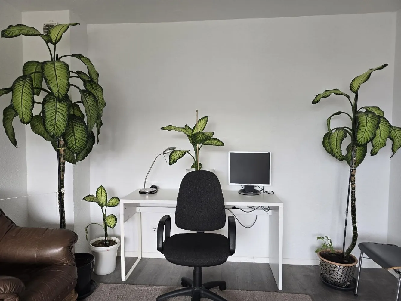 1 Zimmer Wohnung mit 43 m² in Bochum – Bild 3